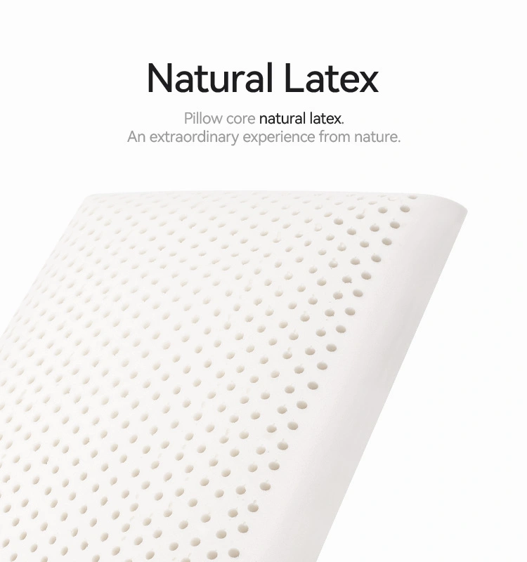 High Rebound Latex Bread Pillow